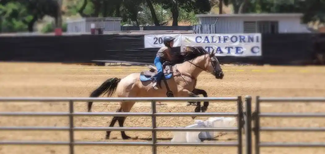rider-on-horseback-competing-at-a-california-gymkhana-association-event