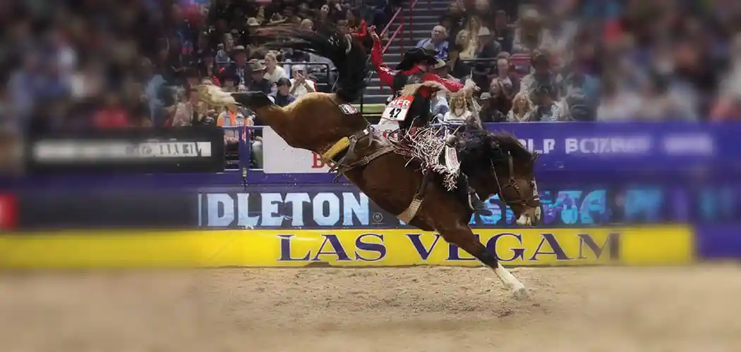big-bucks-pro-rodeo-3