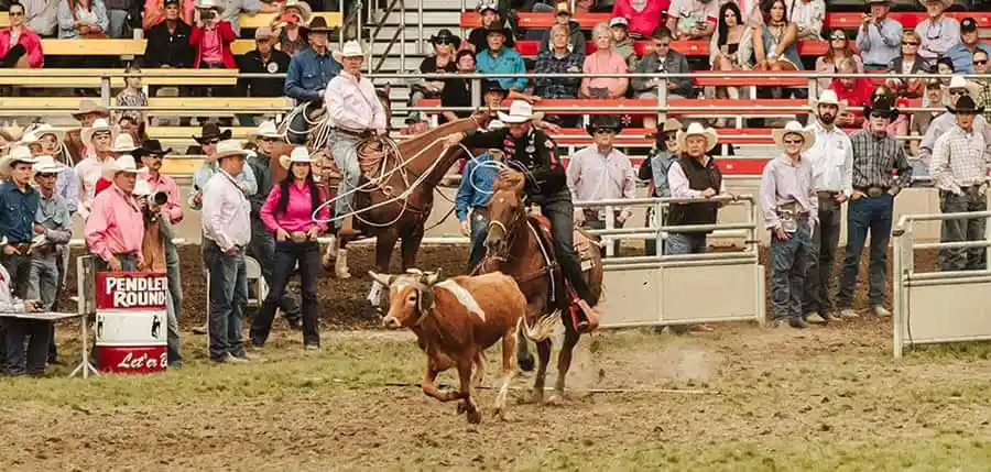 rider-competing-in-a-rodeo-arena-wearing-twisted-x-boots