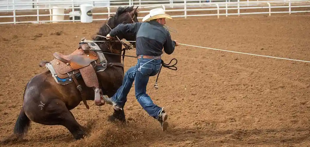 rider-competing-in-calf-roping-at-a-colorado-state-high-school-rodeo-association-event