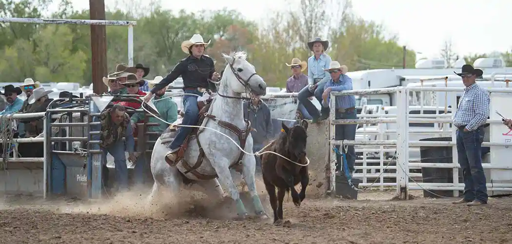 contestants-on-horseback-waiting-near-the-arena-gate-at-a-colorado-state-high-school-rodeo-association-event