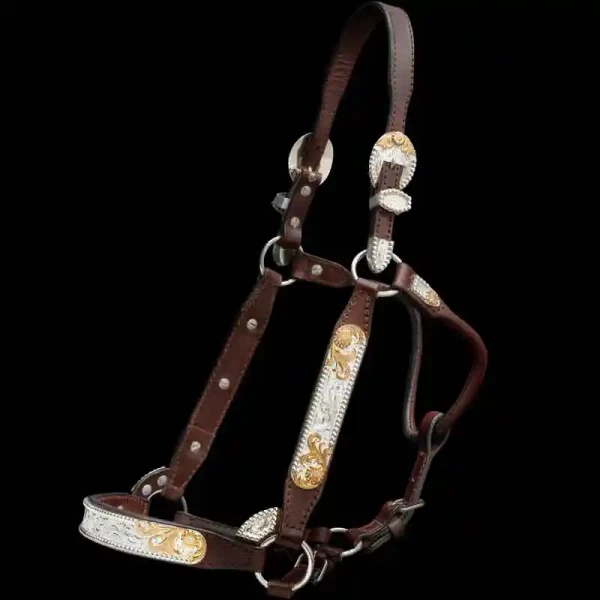 A custom leather horse show halter with sterling  silver base, beads on the edge and jeweler's bronze scrollwork in silver plate finish