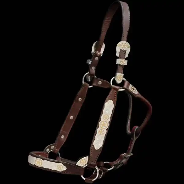 A custom leather horse show halter with sterling  silver base, jeweler's bronze stars and zirconia stones in silver plate finish