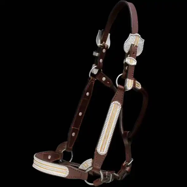 A custom leather horse show halter with sterling  silver base, jeweler's bronze lines in silver plate finish
