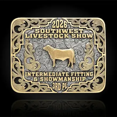 Decatur Belt Buckle