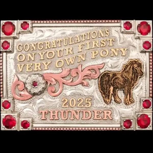 A custom trophy belt buckle for Wild Bill's Funshow Series Champion featuring a horse figure 