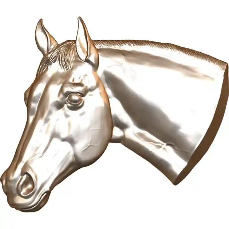 Horse Head