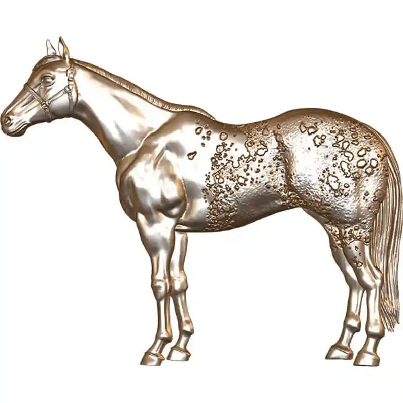 Appaloosa Horse