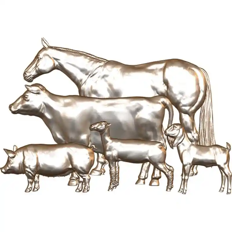 Multi - Animal - 2
