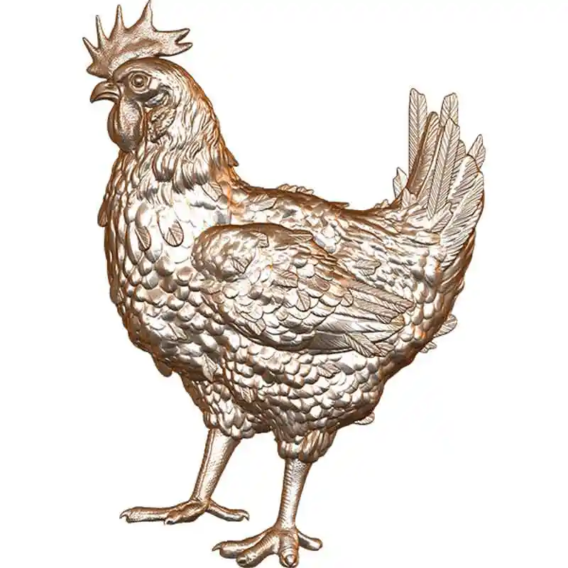 Broiler Chicken