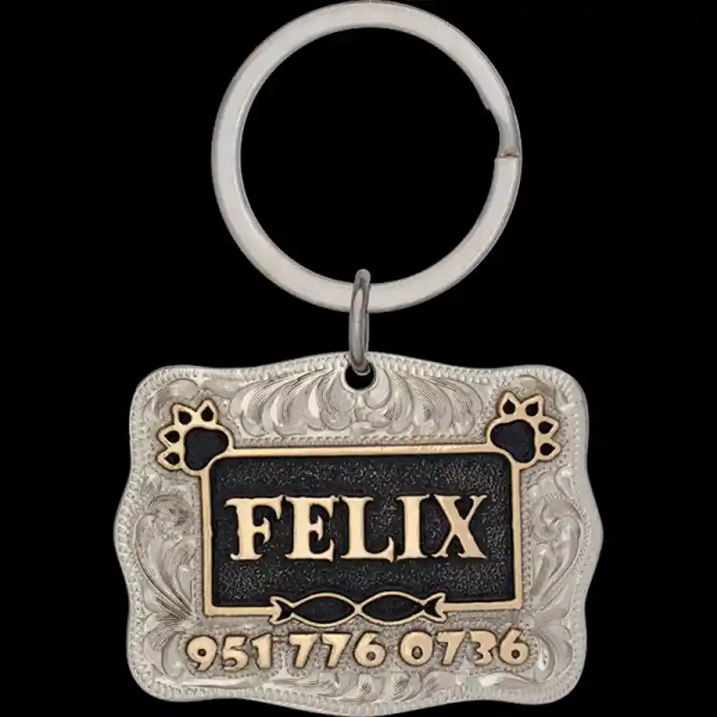 Felix Custom Dog Tag