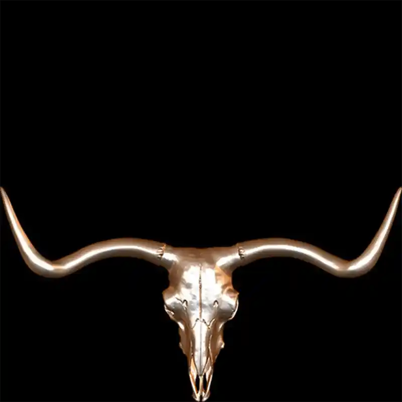 Longhorn Steer Skull