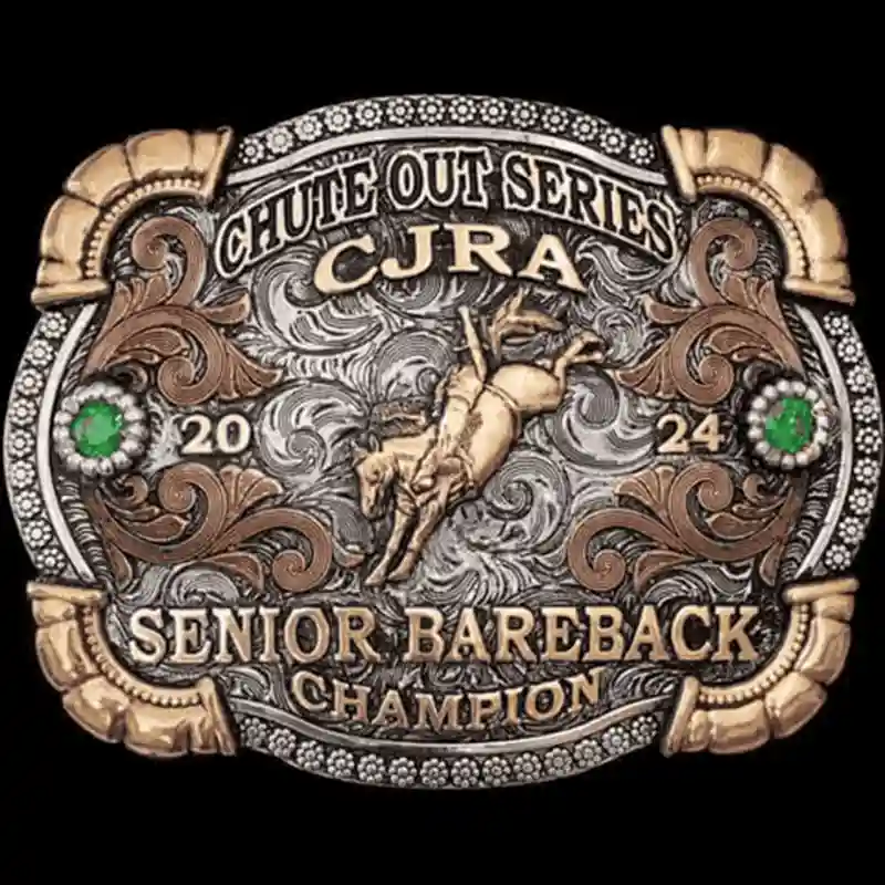 Dusk to Dawn Buckle
