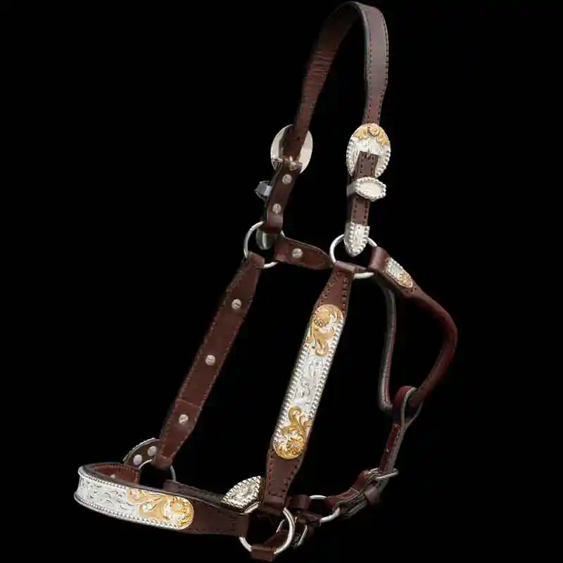 A custom leather horse show halter with sterling  silver base, beads on the edge and jeweler's bronze scrollwork in silver plate finish