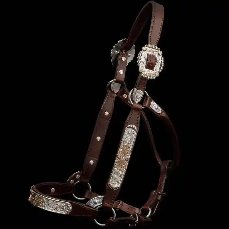 A custom leather horse show halter with sterling  silver base, beads on the edge and jeweler's bronze scrollwork in antique finish