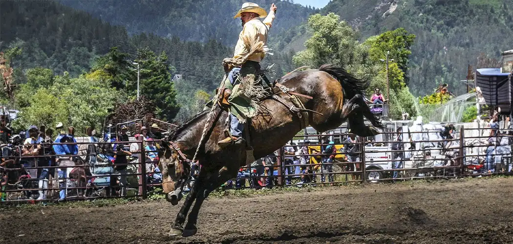 rider-horse-rodeo