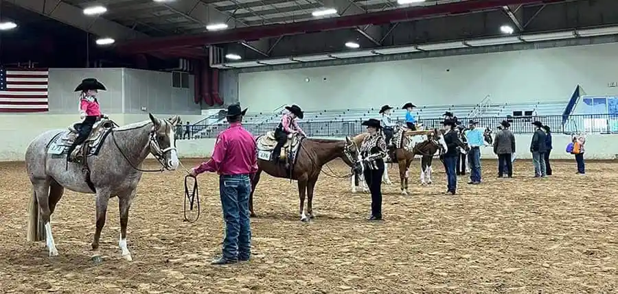 texas-paint-horse-club
