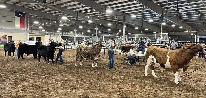 cattlelac-elite-livestock-events