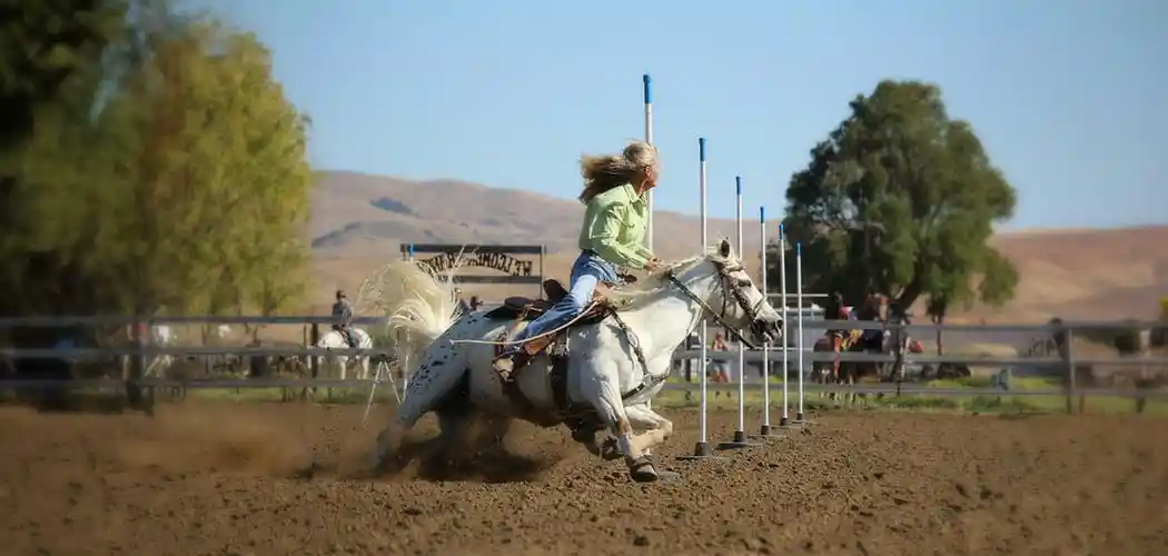 california-gymkhana-association