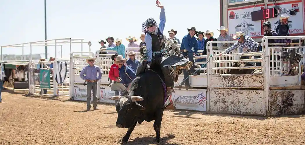 colorado-state-high-school-rodeo-association 